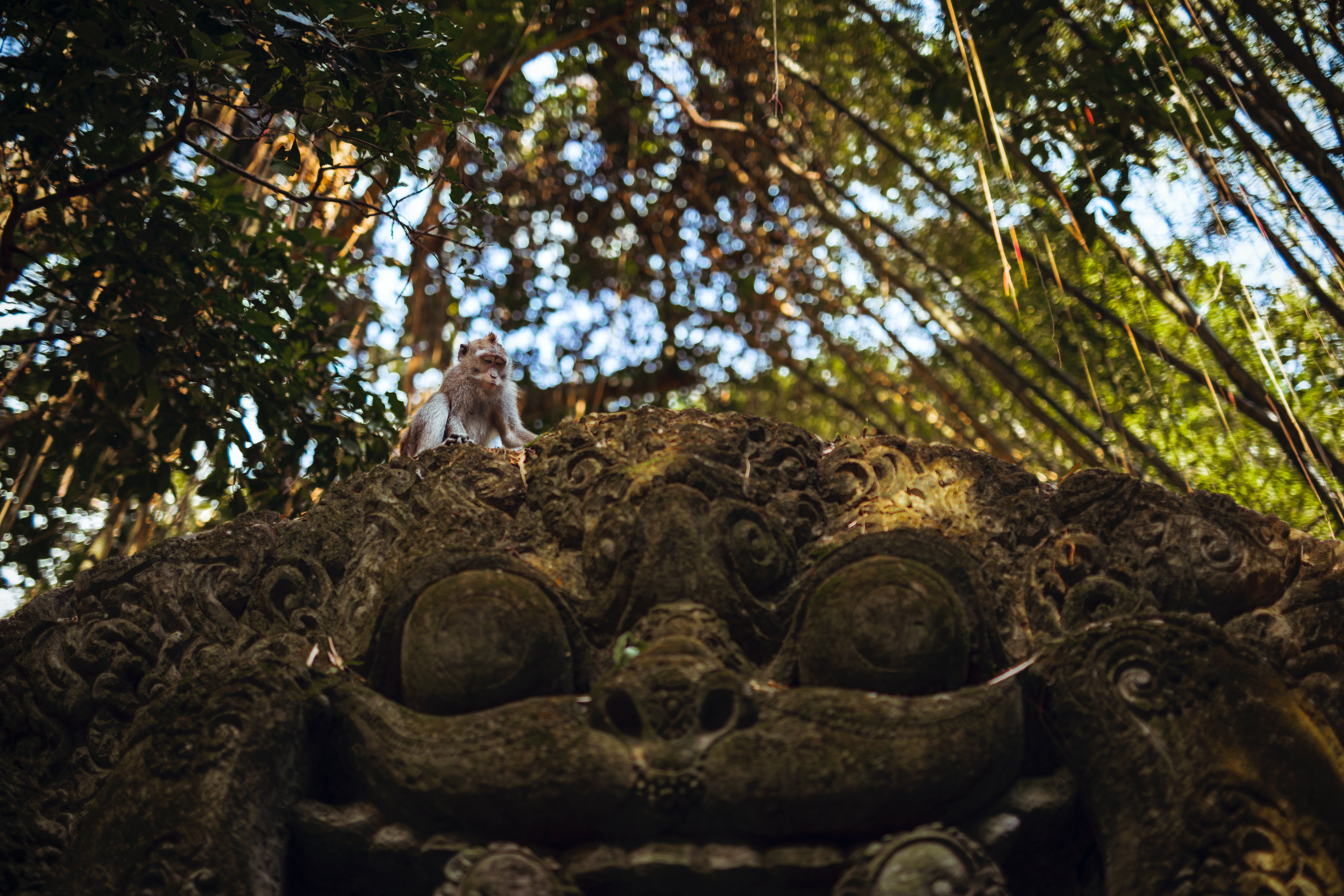 templo em bali ao pé de um lago